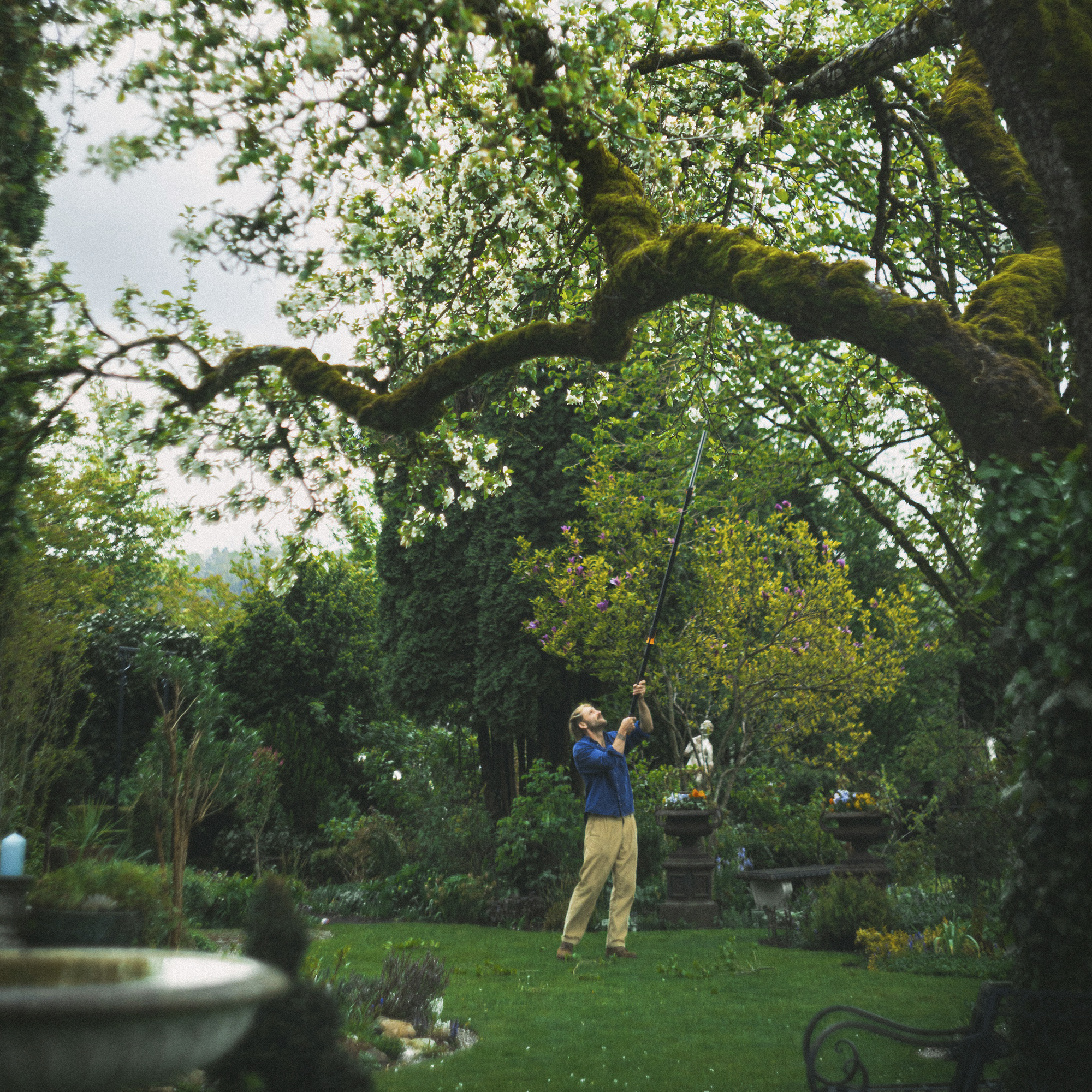 F-115012 1023624-Fiskars PowerGear X teleskoopvarrega oksalõikur UPX86_1