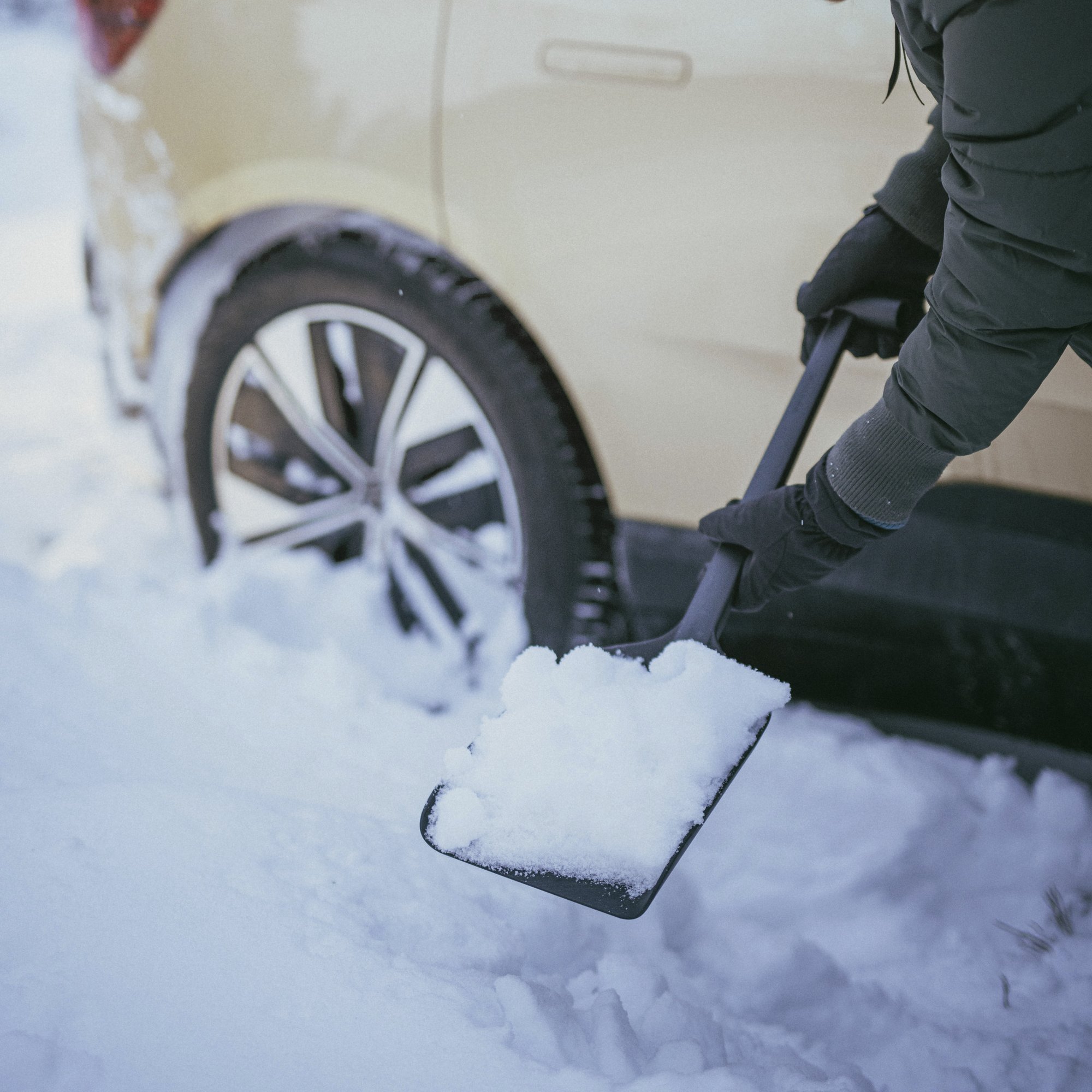 F-143073 1019353_Solid_autolabidas_1