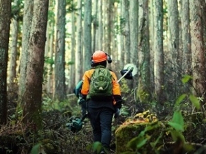 Grimsholm Green_ kategooria2025 Grimsholm Green