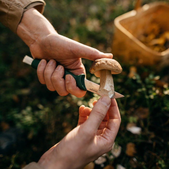 Fiskars Essential seenenuga