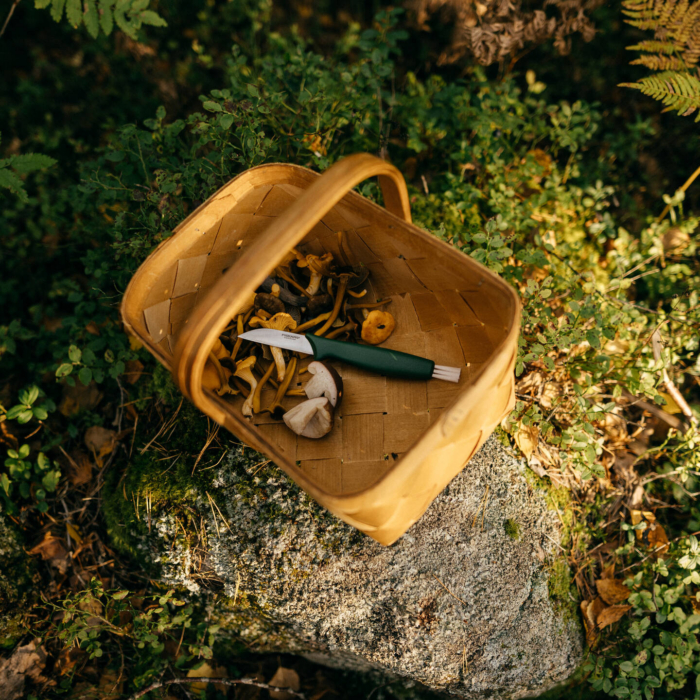 Fiskars Essential seenenuga