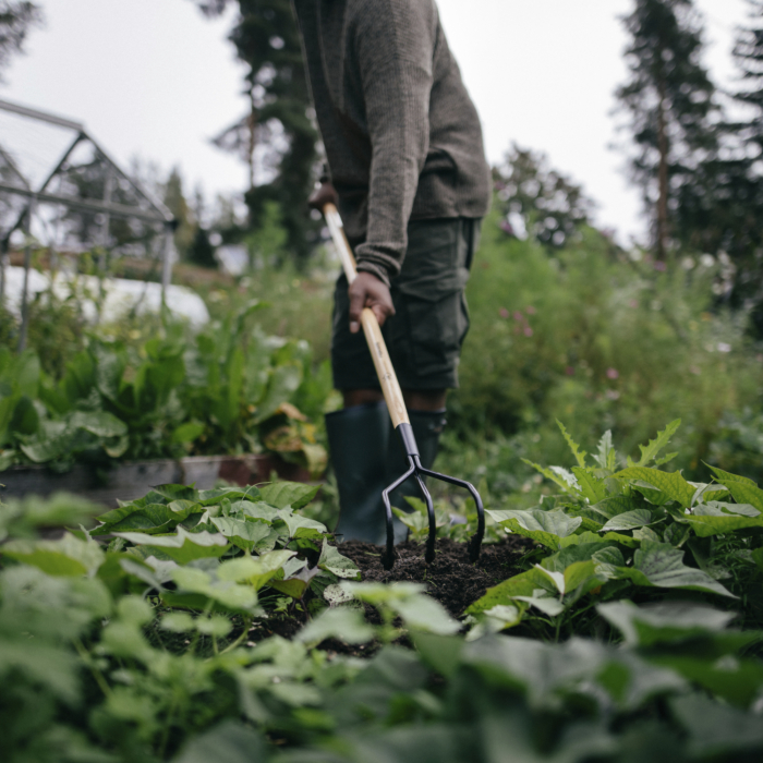 702003 1011614_Fiskars Solid™ kobesti puitvarrega_1