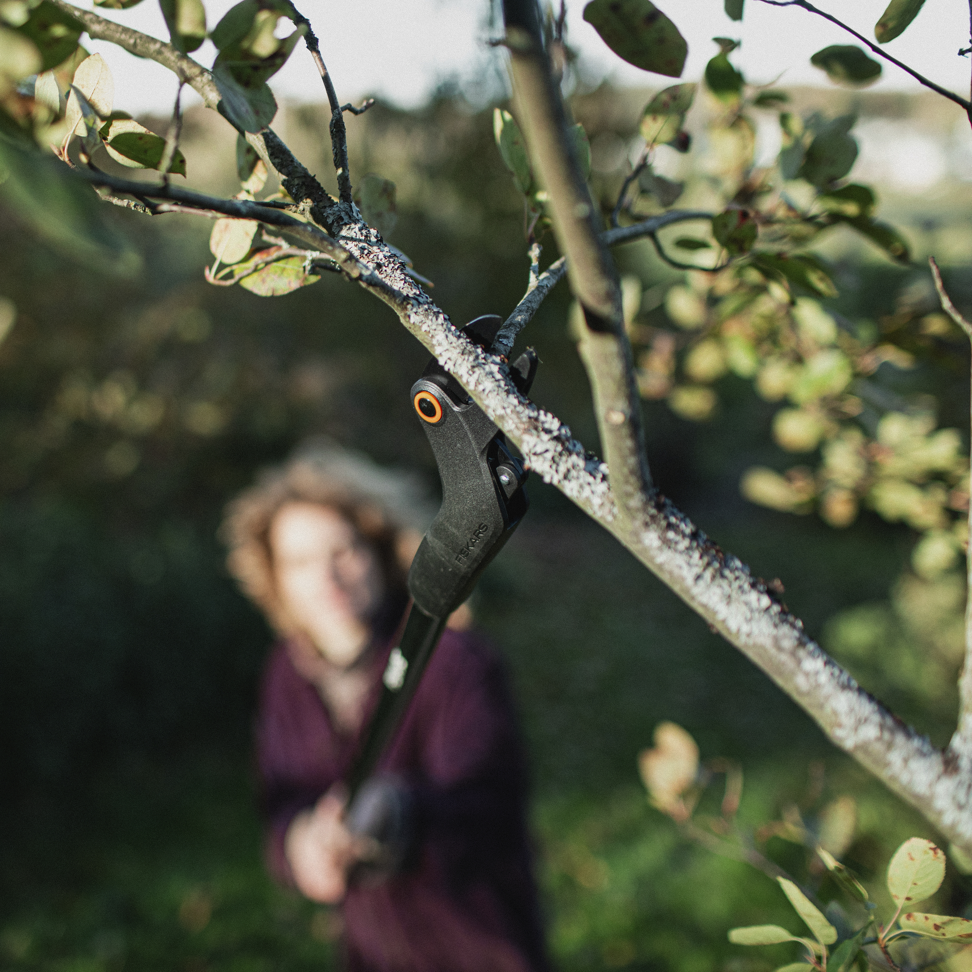 F-160087 1073082_Fiskars Solid oksalõikur 1.76 m UP69_1