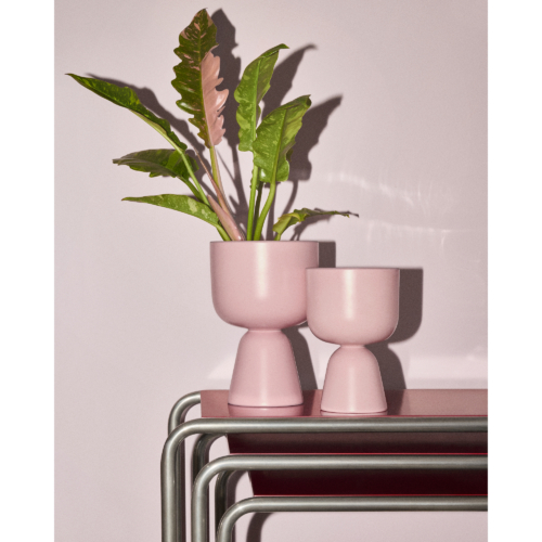 Iittala Nappula lillepott roos matt