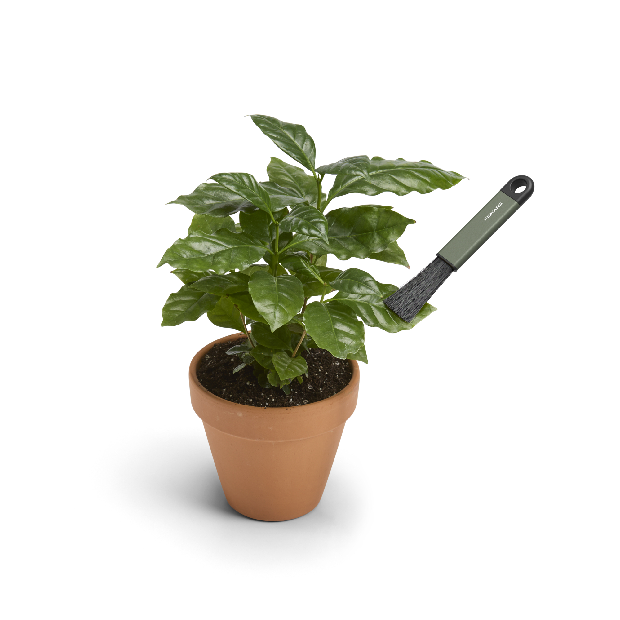 170792 1080778_Plant Care toataimede tööristad 5 tk (1)