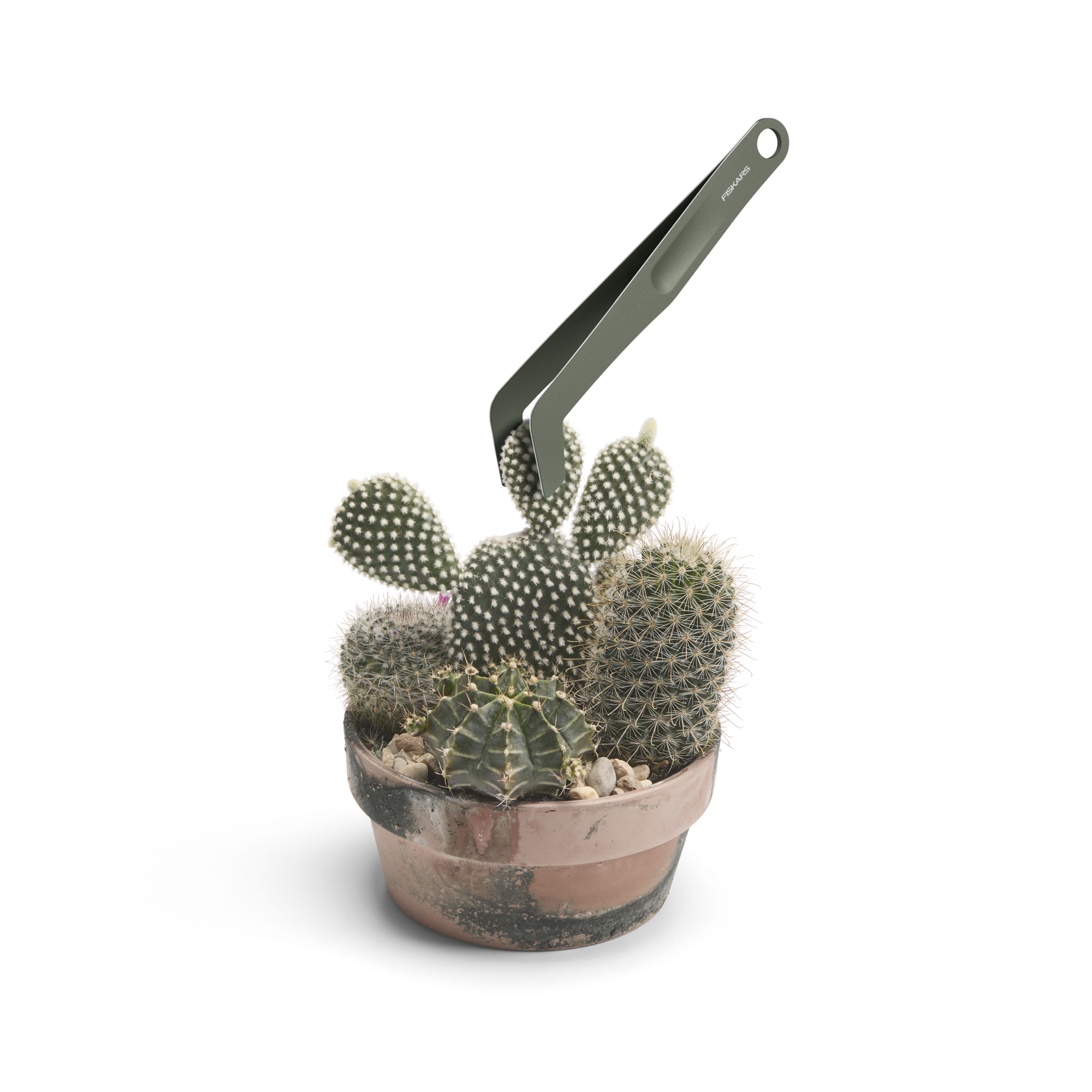 170792 1080778_Plant Care toataimede tööristad 5 tk (1)